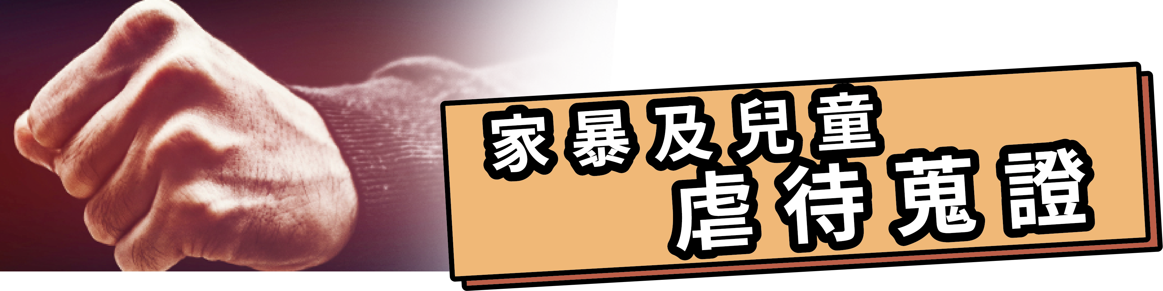 家暴及兒童虐待蒐證