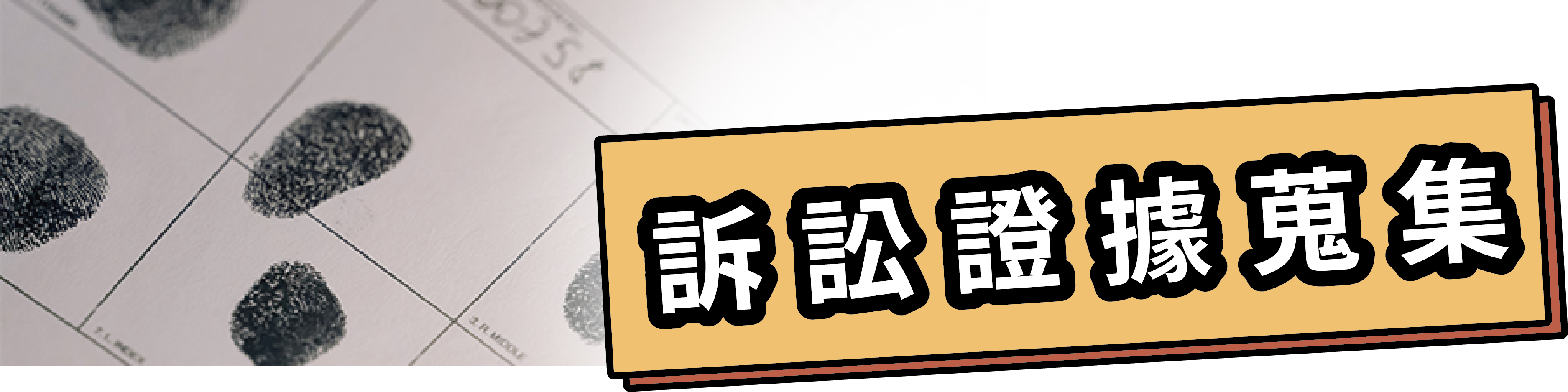 訴訟證據蒐集